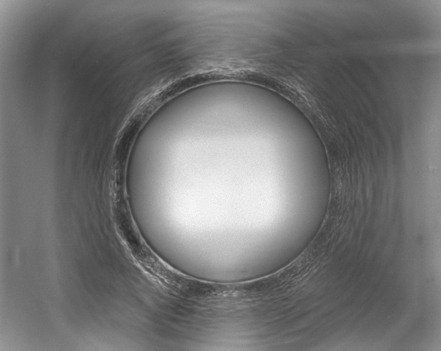 X0000058760736200509300813