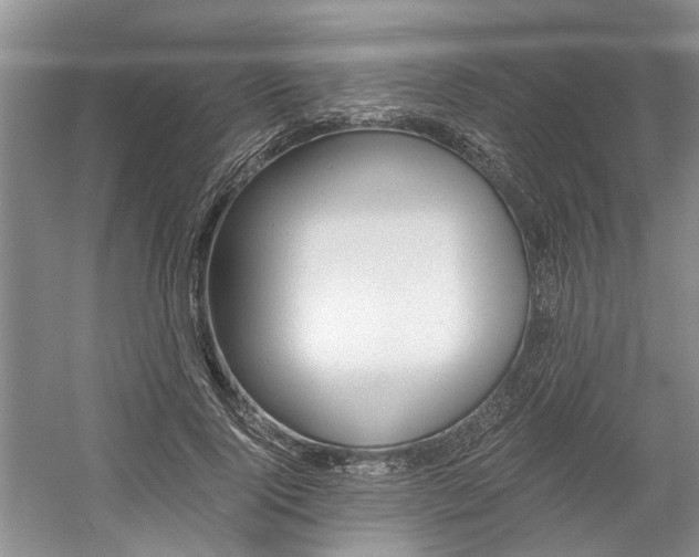 X0000058760740200509300813