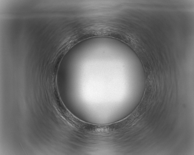 X0000058760744200509300813