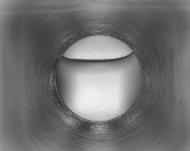 X0000058760745200509300813