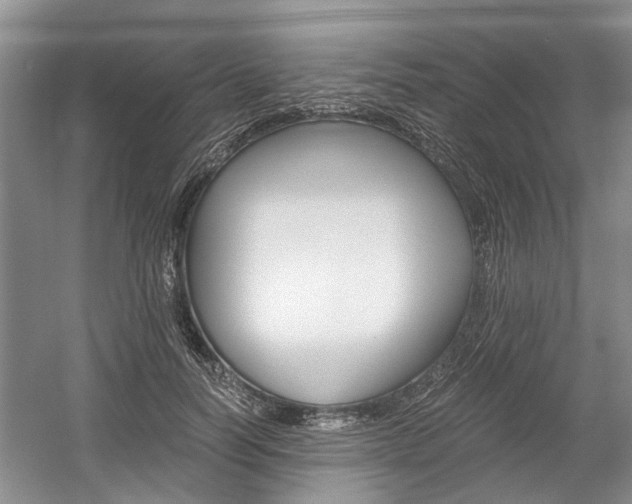 X0000058760746200509300813