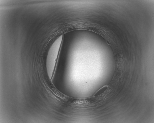 X0000058760752200509300813