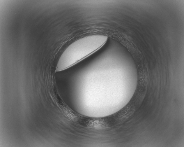 X0000058760755200509300813