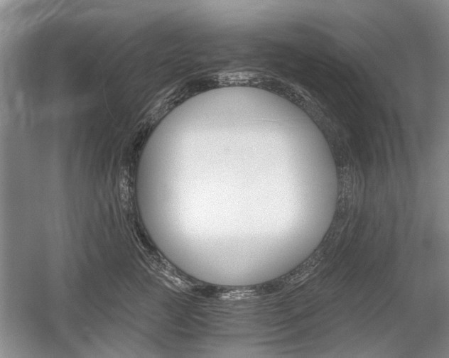 X0000058760761200509300813