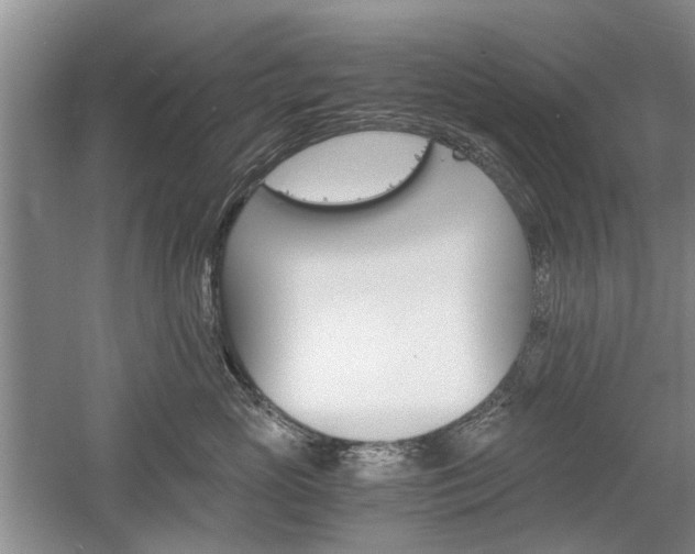 X0000058760765200509300813