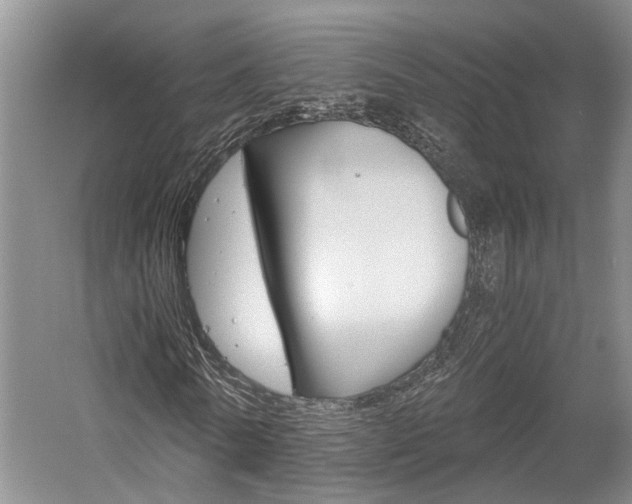 X0000058760770200509300813
