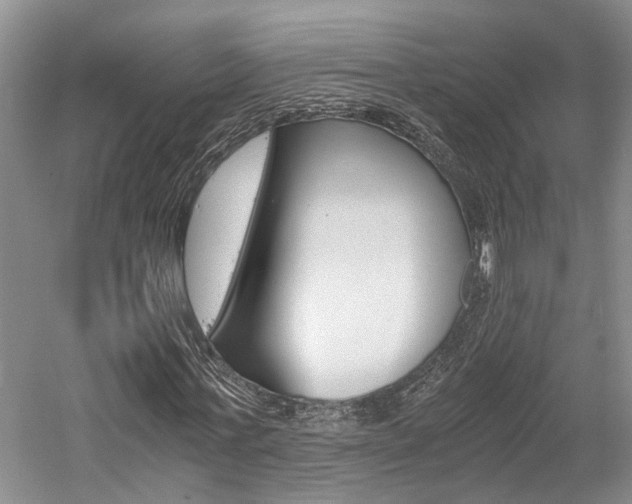 X0000058760771200509300813