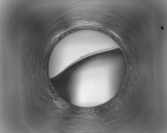 X0000058760775200509300813
