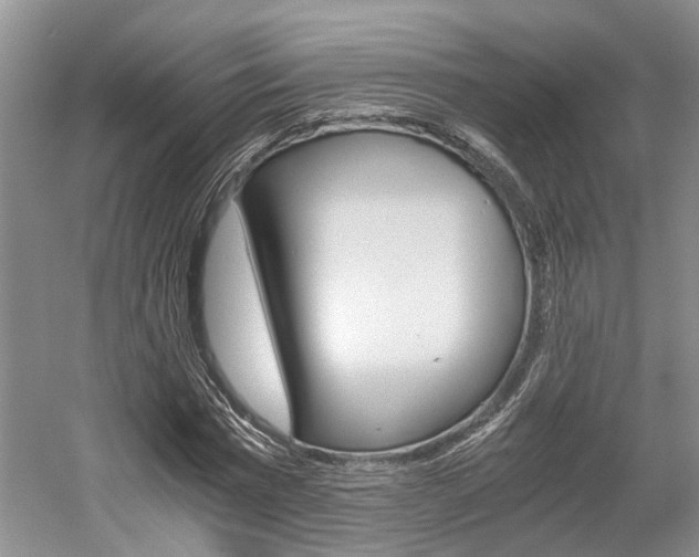X0000058760777200509300812