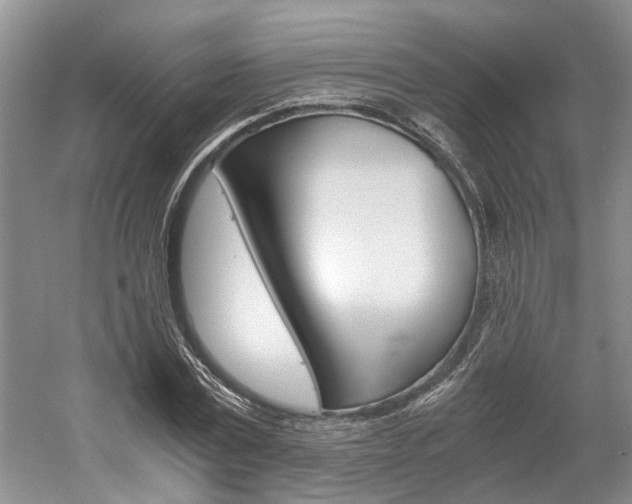 X0000058760779200509300812
