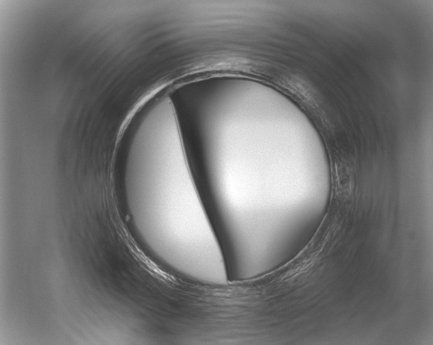 X0000058760780200509300812