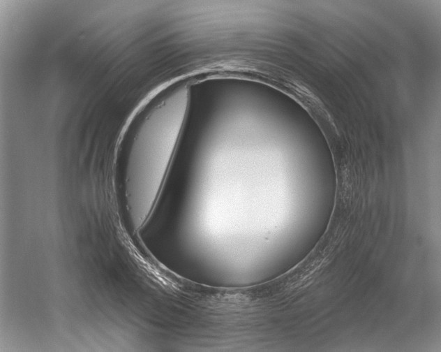X0000058760784200509300812