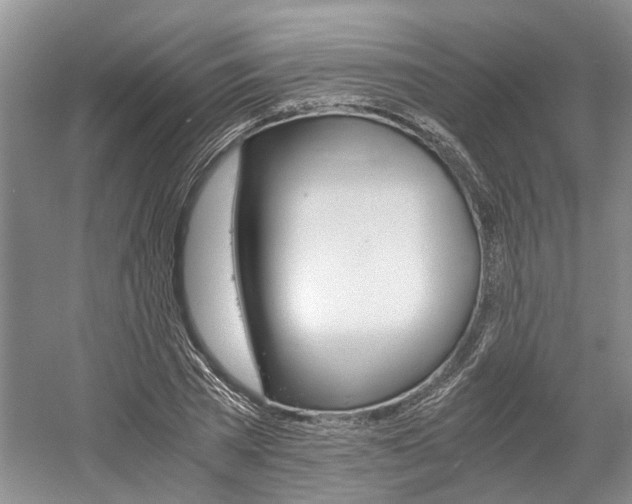 X0000058760785200509300812