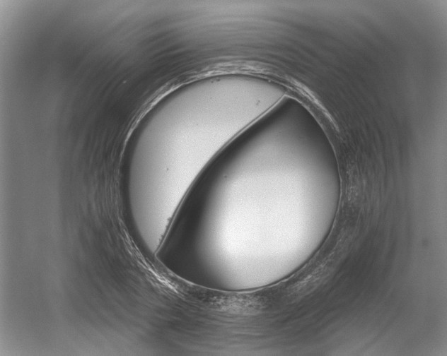 X0000058760786200509300812
