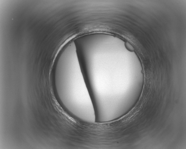 X0000058760790200509300812