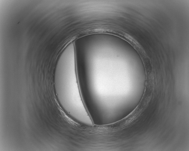 X0000058760801200509300812