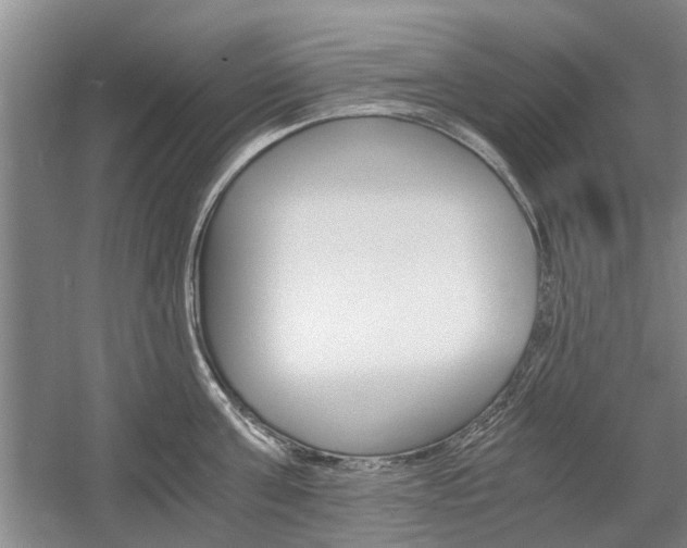X0000058760811200509300812