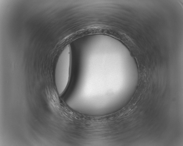 X0000058760821200509300811