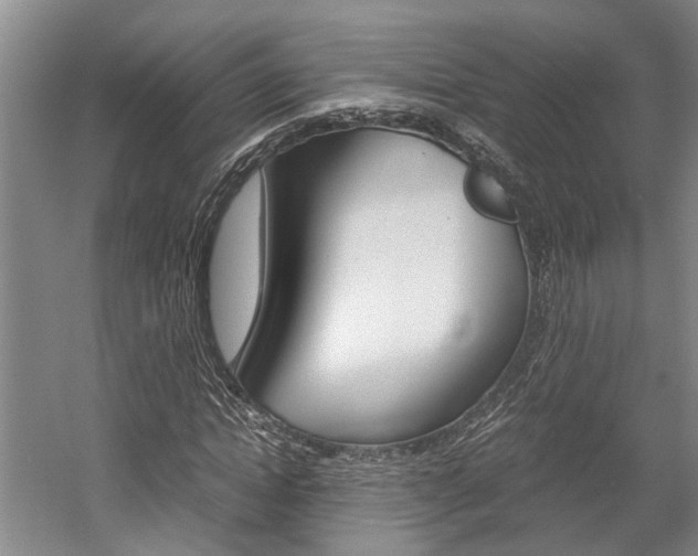 X0000058760822200509300811