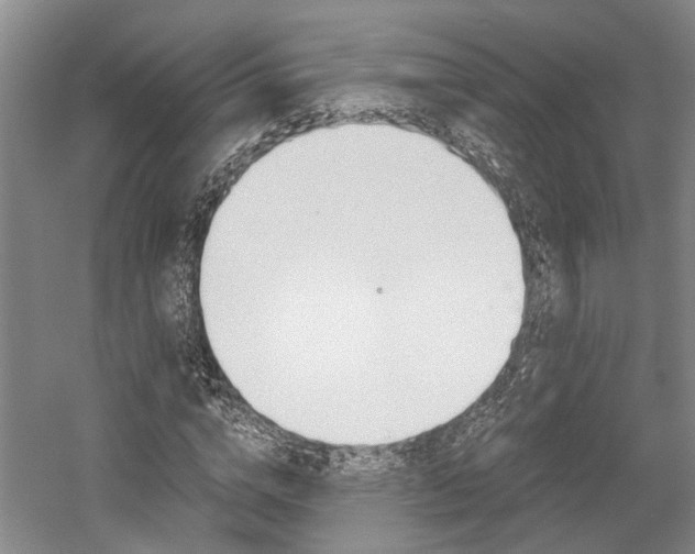 X0000058760824200509300811