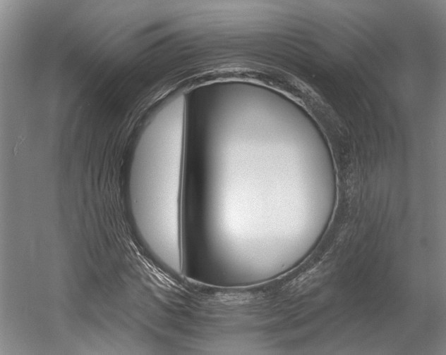 X0000058760825200509300811