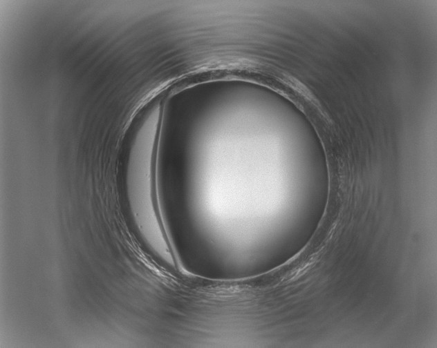 X0000058760826200509300811