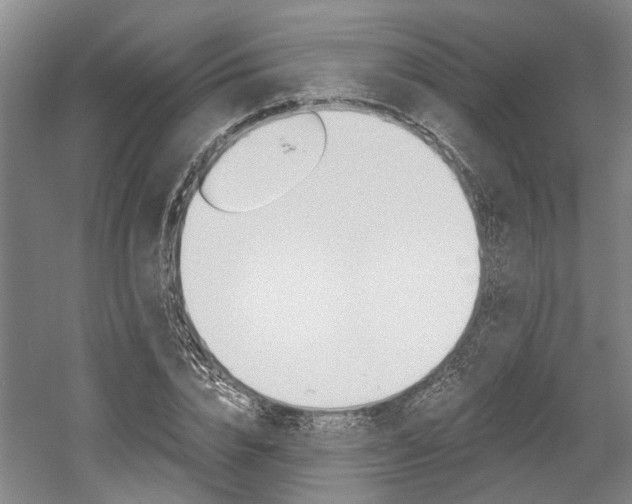 X0000058760832200509300811