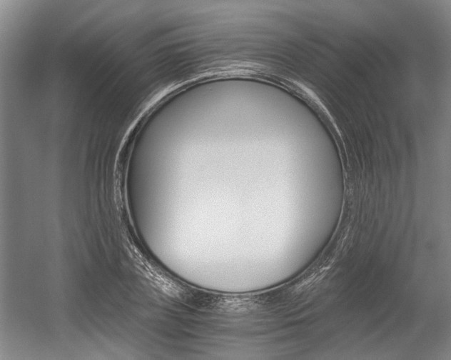X0000058760835200509300811
