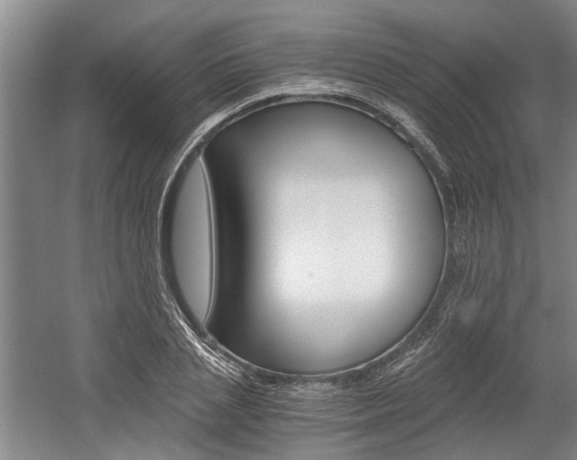 X0000058760837200509300811