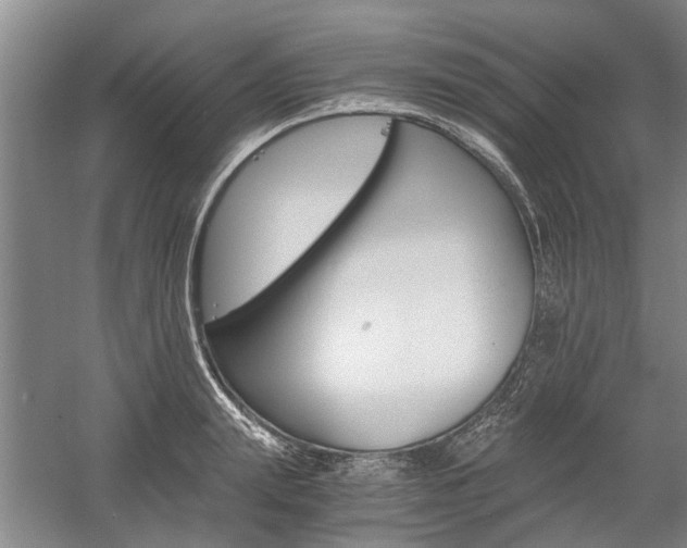 X0000058760847200509300812