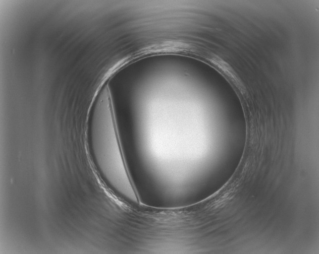 X0000058760850200509300812