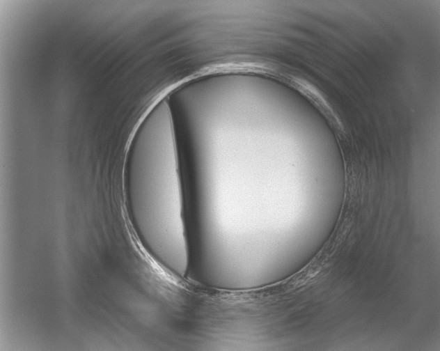 X0000058760852200509300812