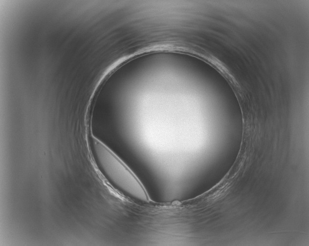 X0000058760854200509300812