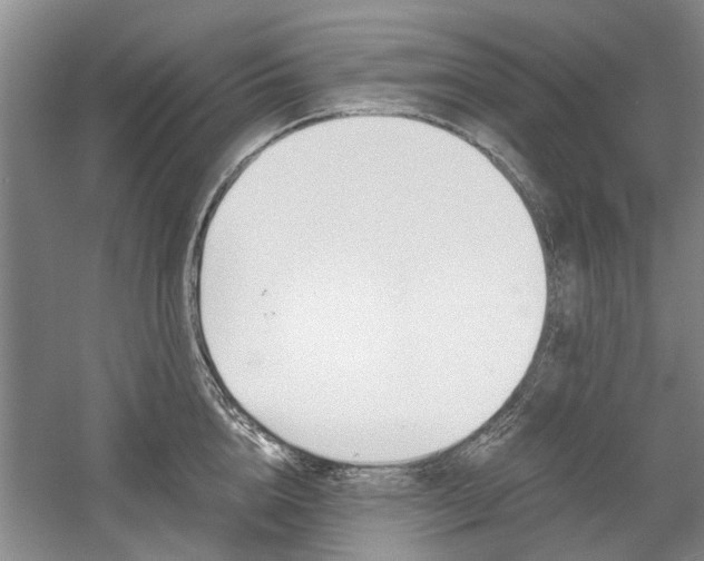 X0000058760856200509300812