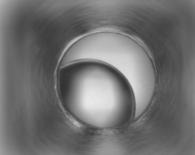 X0000058760862200509300812