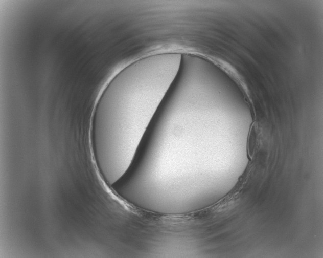 X0000058760863200509300812