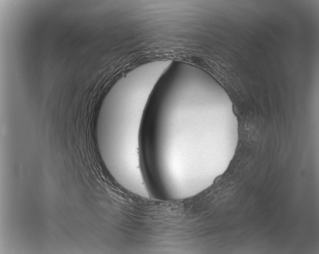 X0000058760865200509300811