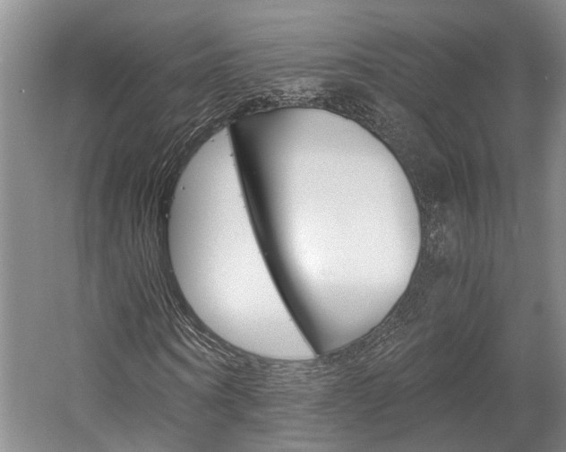 X0000058760866200509300811