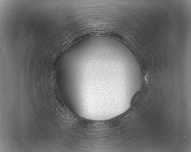 X0000058760867200509300811