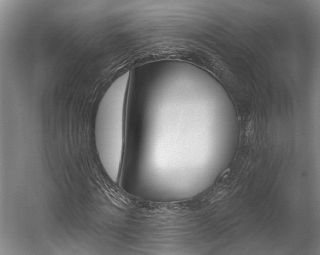 X0000058760868200509300811