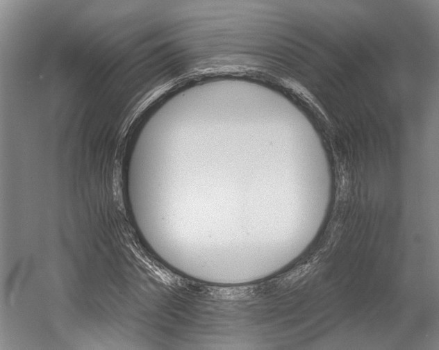 X0000058760874200509300811