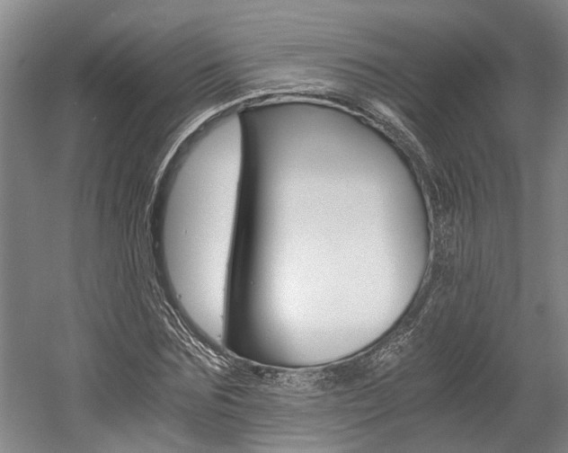 X0000058760875200509300811