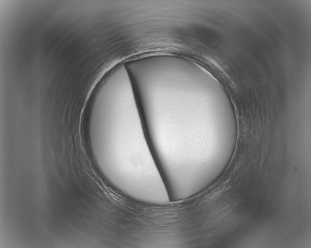X0000058760883200509300811