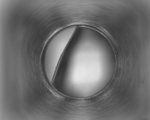 X0000058760885200509300811