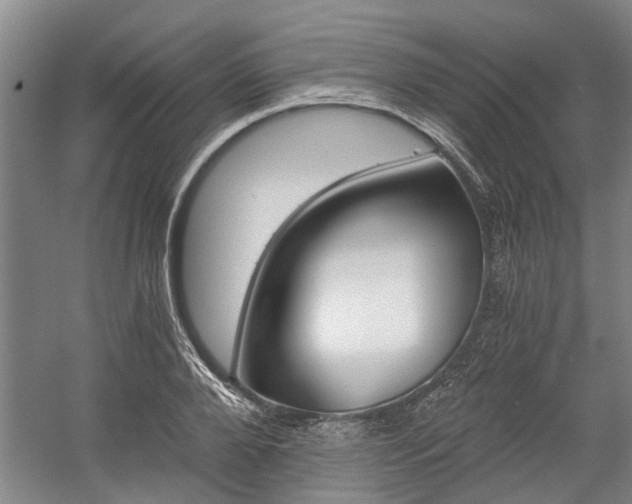 X0000058760888200509300811