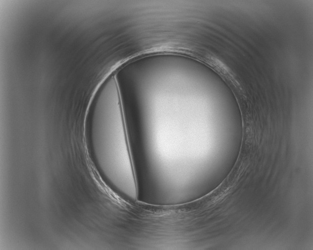 X0000058760892200509300811