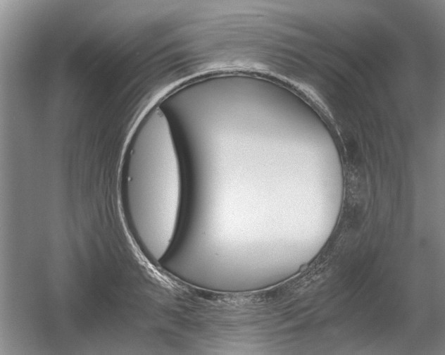 X0000058760895200509300810
