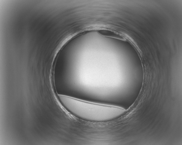 X0000058760901200509300810