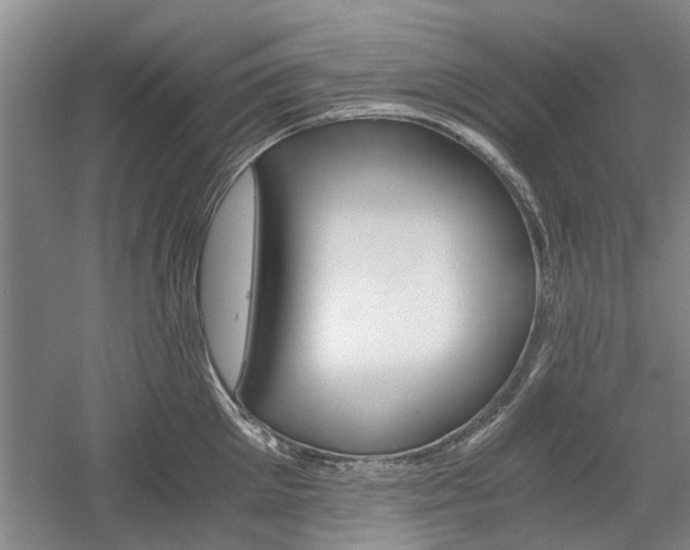 X0000058760905200509300810