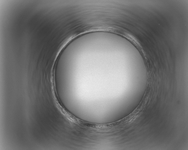 X0000058760907200509300810